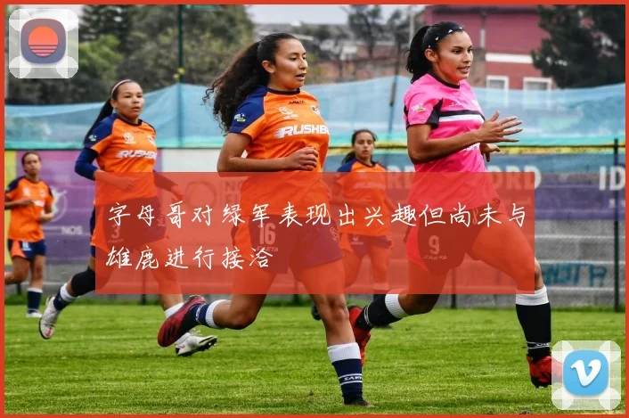 字母哥对绿军表现出兴趣但尚未与雄鹿进行接洽
